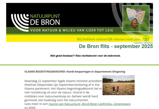 screenshot nieuwsbrief