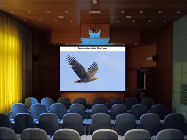 lezing zeearenden
