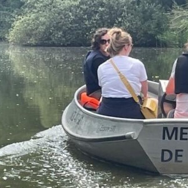 Houthulst fluistervaren