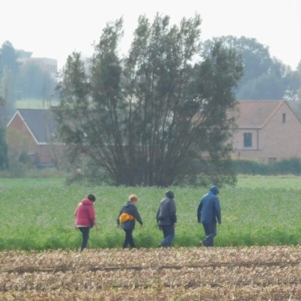 zonnebeke